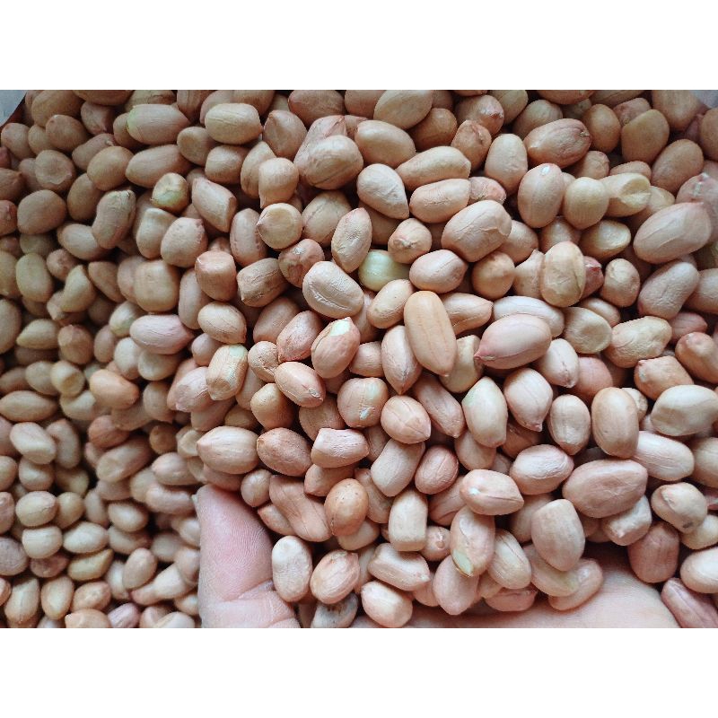 ( 1 kg) Lạc trắng bóc tay, lạc quê hàng mới