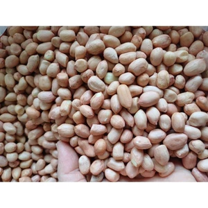 Lạc trắng bóc tay, lạc quê hàng mới