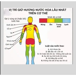 Nước hoa Good Girl mùi thơm lâu sexy, gợi cảm cuốn hút lưu hương 8-12h