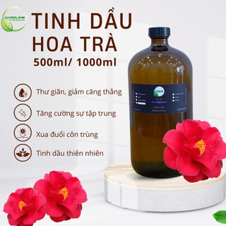 Tinh dầu xông thơm phòng thiên nhiên CAROLINE hương Hoa Trà Big Size Big Size, khử mùi hiệu quả - Chính hãng
