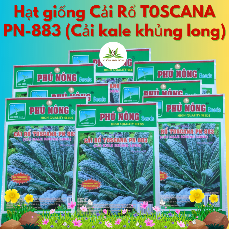 Hạt giống cải rổ Toscana PN 883 - Cải kale khủng long 5