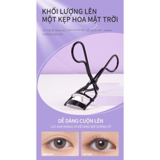 Dụng Cụ Bấm Cong Lông Mi LMLTOP - Kẹp Uốn Mi Bằng Thép Không Gỉ Cho Hàng Mi Cong Dài Lâu - LMLTOP