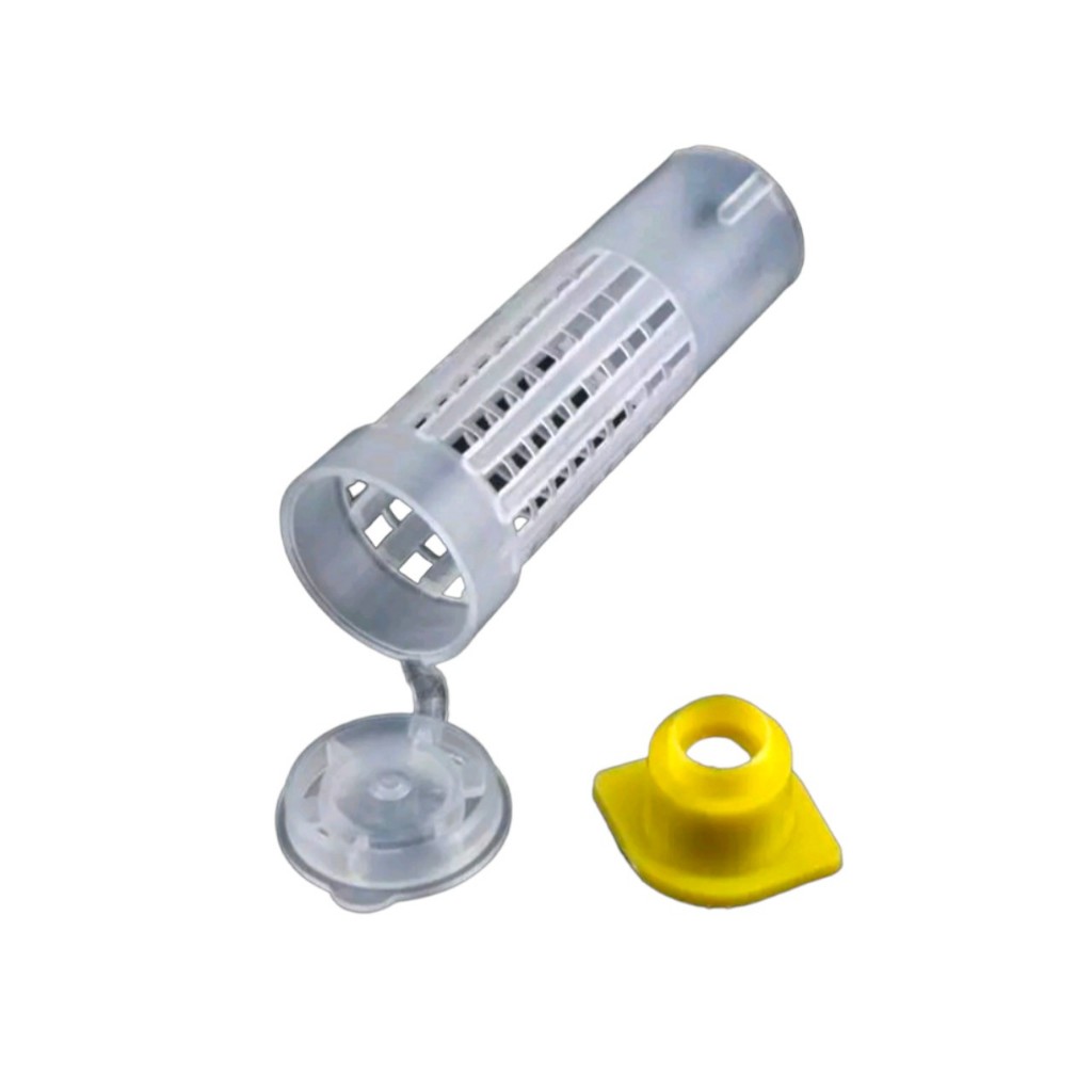 10 Lồng nhốt ong chúa vuông