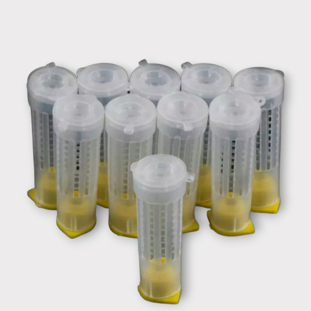 10 Lồng nhốt ong chúa vuông