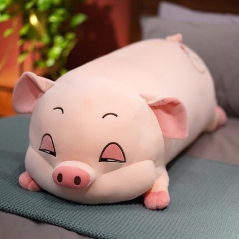 Bộ Gấu Bông  chăn gối văn phòng Heo xinh ntt95