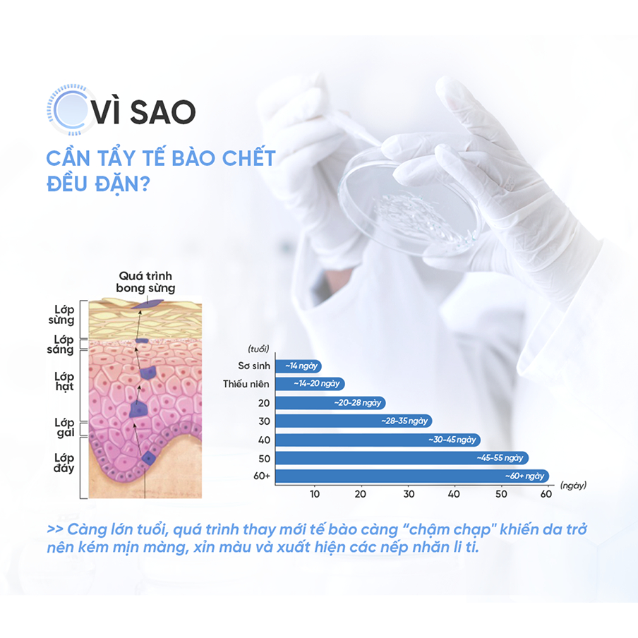 Ảnh Dung Dịch Tẩy Tế Bào Chết All Target Skin Renewing Solution Pionin + 12% AHA/BHA/PHA 120ml 4