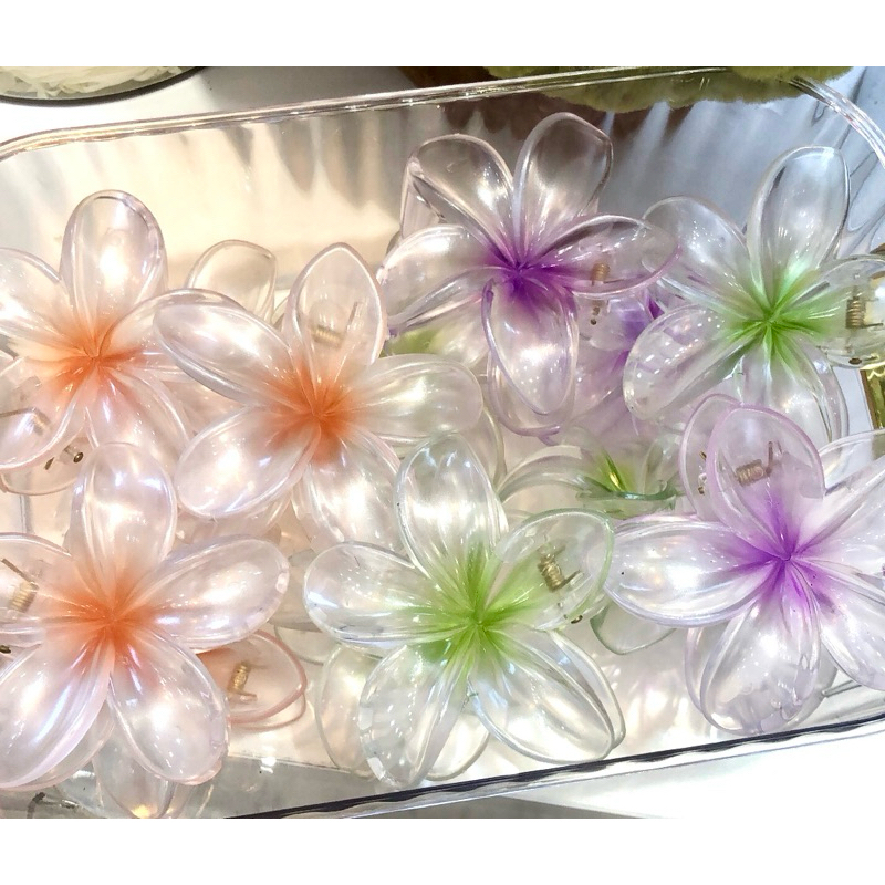 Kẹp Tóc Nhựa Hoa Sứ 8cm Pastel Xà Cừ Hologram Nhiều Màu Kẹp Mùa Hè Đi Biển Nhựa Xịn Cứng Cáp Quà Tặng Bạn Nữ Dễ Thương