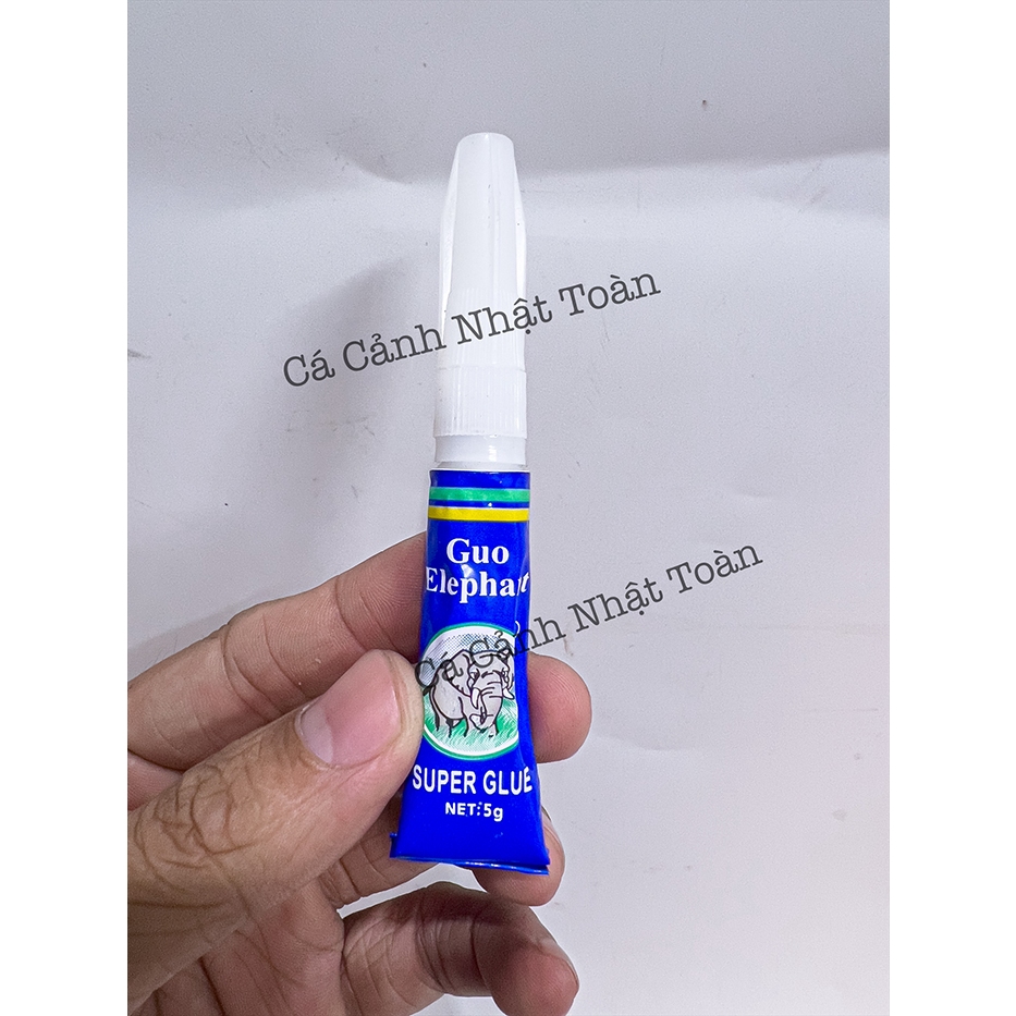 KEO DÁN RÊU CHO CÂY THỦY SINH
