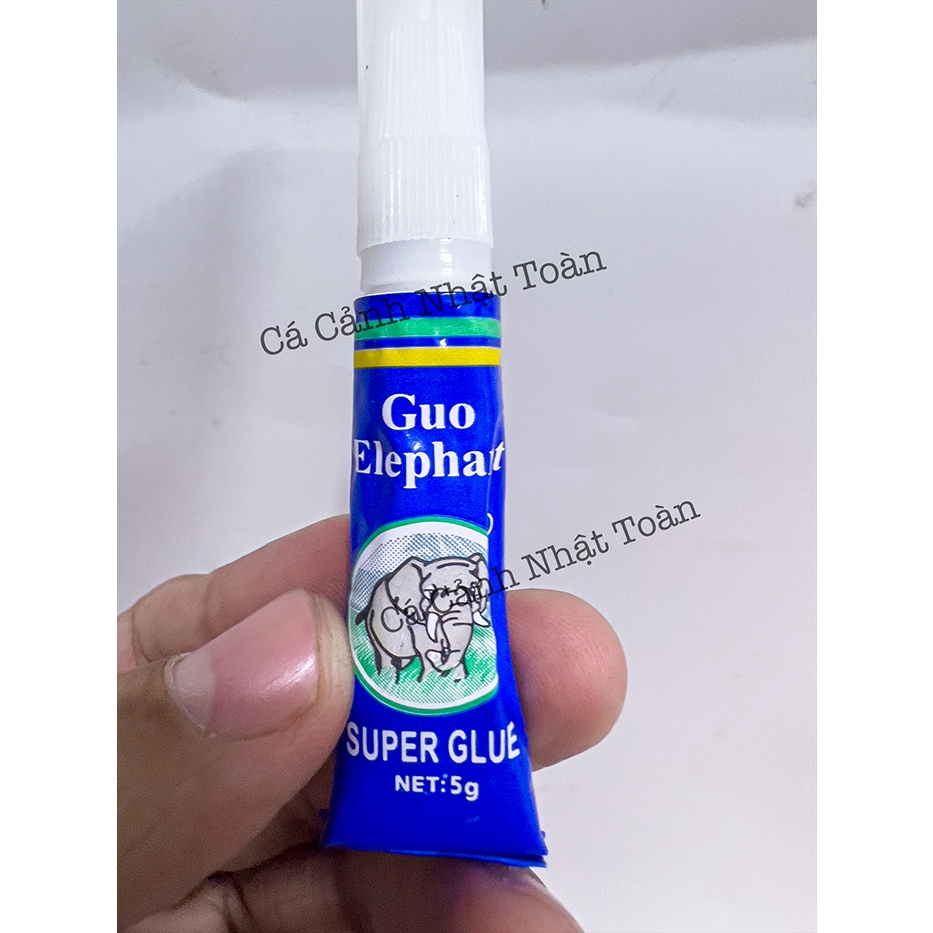 KEO DÁN RÊU CHO CÂY THỦY SINH