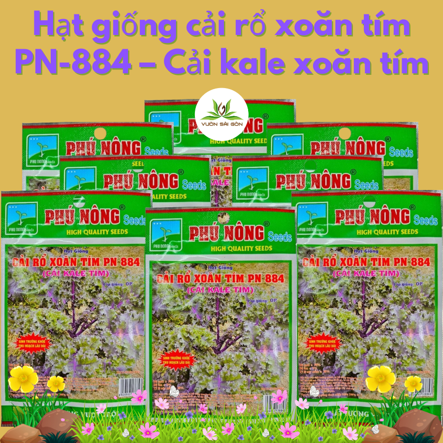 Hạt giống cải rổ xoăn tím PN-884 - Cải kale xoăn tím 5