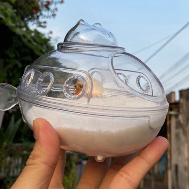 Nhà PHI THUYỀN TRONG SUỐT đựng nước, cát, rêu, chổ trú cho ốc mượn hồn ...