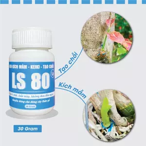 Keo Tạo Mầm, Keo Kích Chồi LS 80 - Bôi Ở Đâu Ra Chồi Ở Đó - Hũ 30G