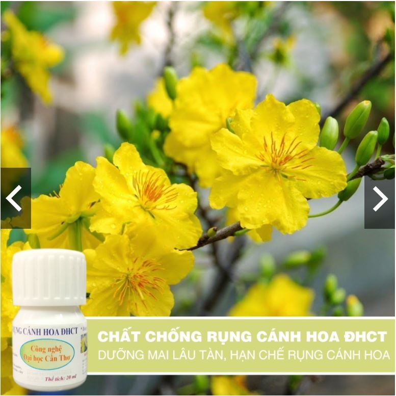 Chất CHỐNG RỤNG CÁNH HOA Đại Học Cần Thơ loại 20ml
