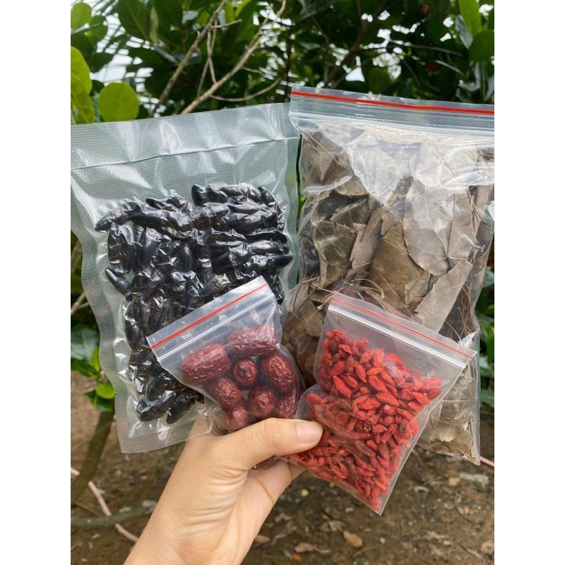 Bổ củi rừng khô Tây Bắc ngâm rượu giúp bổ thận, tráng dương(Tặng kèm táo đỏ ,kỷ tử)10con
