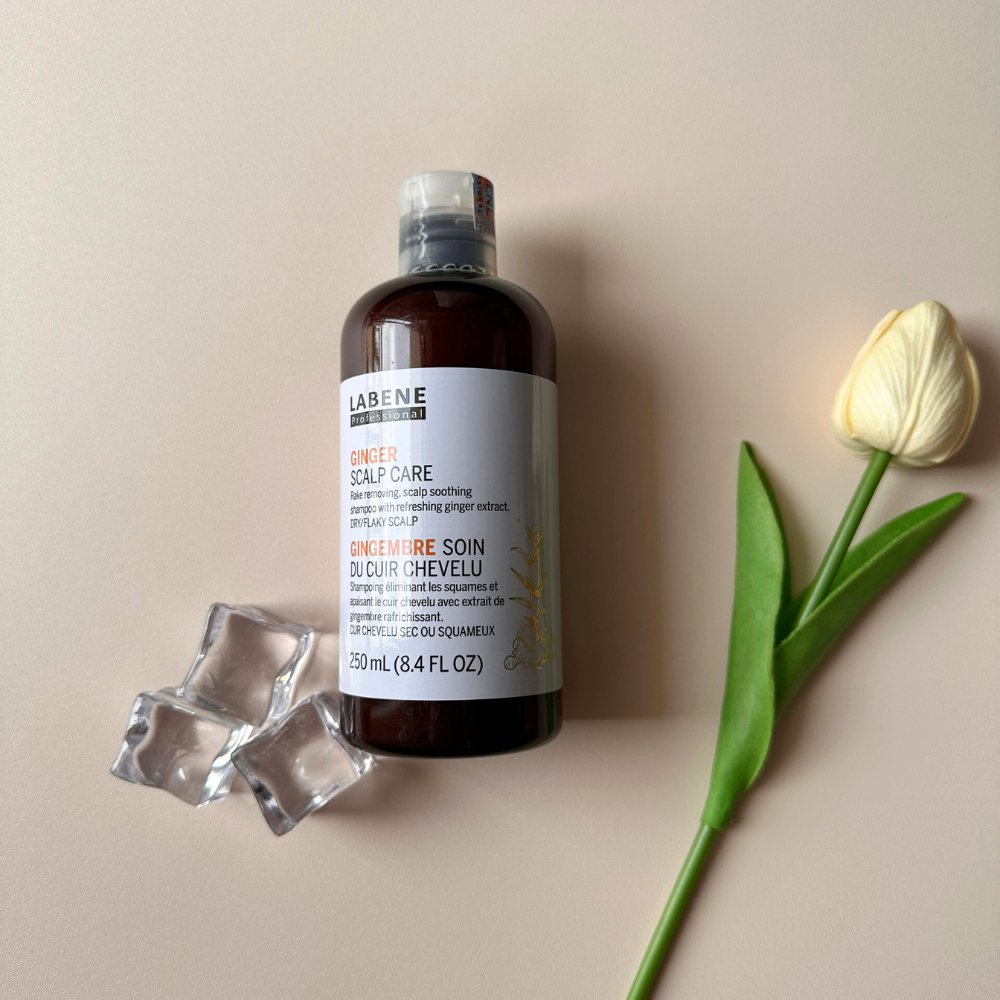Ảnh Dầu gội dưỡng sinh tinh chất gừng tươi Ginger Scalp Care LABENE làm sạch da đầu thư giãn chống rụng tóc & kích mọc tóc. 4