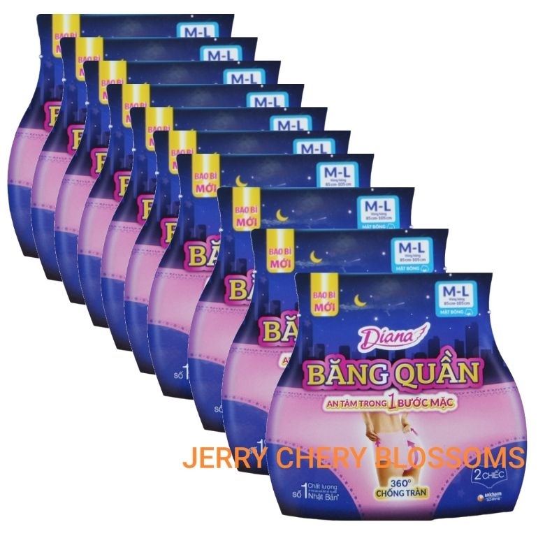 Bộ 10 gói băng vệ sinh dạng quần Diana  Beauty hip size SM và ML 2 chiếc/gói