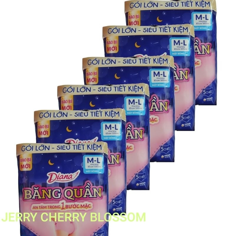 combo 6 gói băng vệ sinh dạng quần  Diana Beauty hip SM/ML/XL 5 chiếc/gói
