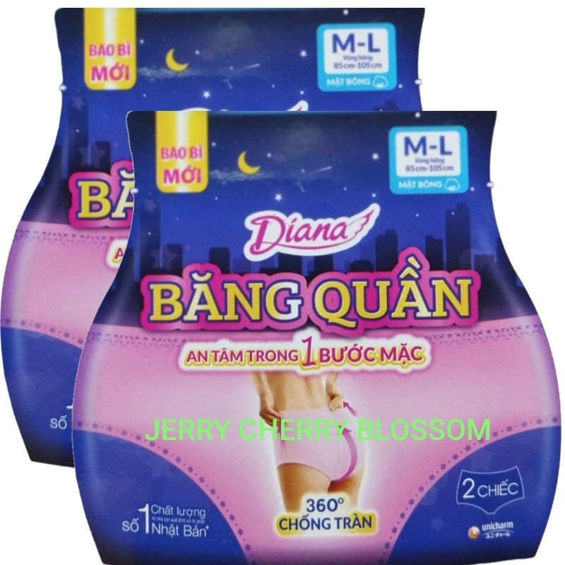 Bộ 2 gói băng vệ sinh dạng quần Diana Beauty hip size SM và ML