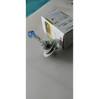 Bóng H7 HCL điện 12v/24v siêu sáng.