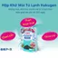 Hộp Khử Mùi Tủ Lạnh Hakugen Nhật Bản (1 Khay/Hộp)