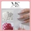 bột làm ombre, hủ 20g , 30g , 50g bột mx gel vẽ charm thú nổi