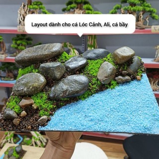 Layout dành cho bể cá cảnh, cá lóc, Ali, bảy màu. được làm hoàn toàn bằng sỏi, đá tự nhiên, đã gắn sẵn thành một khối.