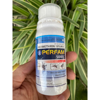 Thuốc diệt bọ đậu đen Perfam 500EC - Diệt tận gốc, hiệu quả cao