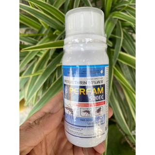Thuốc diệt bọ đậu đen Perfam 500EC - Diệt tận gốc, hiệu quả cao