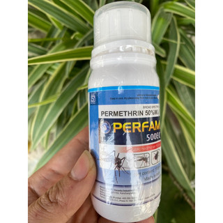 Thuốc diệt bọ đậu đen Perfam 500EC - Diệt tận gốc, hiệu quả cao