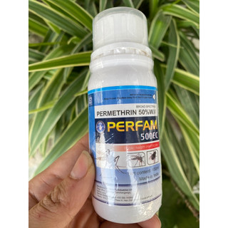 Thuốc diệt bọ đậu đen Perfam 500EC - Diệt tận gốc, hiệu quả cao