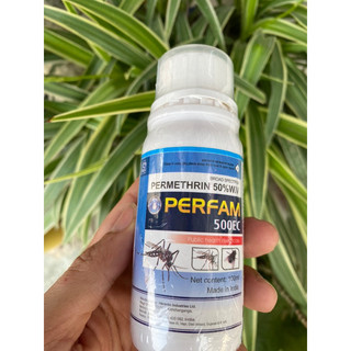 Thuốc diệt bọ đậu đen Perfam 500EC - Diệt tận gốc, hiệu quả cao