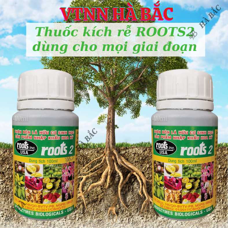Phân bón lá cao cấp Hoa Kỳ Roots 2 - USA (100ml), kích ra rễ cực mạnh, dùng trong giâm cành chiết cành, giúp rễ mập mạp
