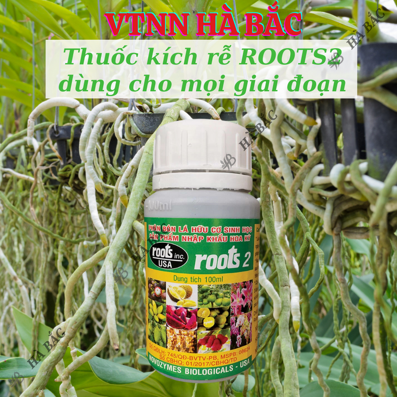 Phân bón lá cao cấp Hoa Kỳ Roots 2 - USA (100ml), kích ra rễ cực mạnh, dùng trong giâm cành chiết cành, giúp rễ mập mạp