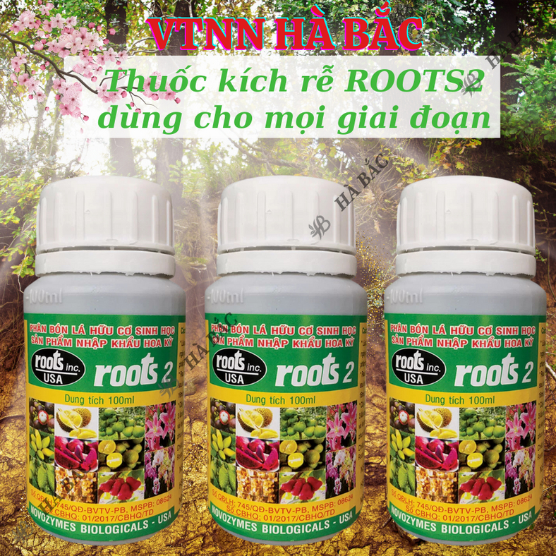 Phân bón lá cao cấp Hoa Kỳ Roots 2 - USA (100ml), kích ra rễ cực mạnh, dùng trong giâm cành chiết cành, giúp rễ mập mạp