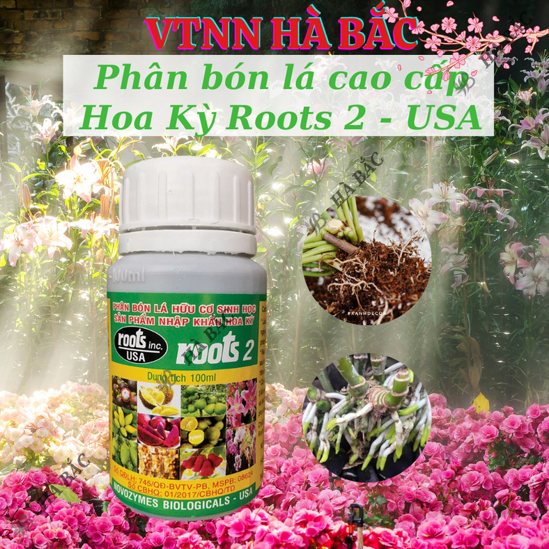 Phân bón lá cao cấp Hoa Kỳ Roots 2 - USA (100ml), kích ra rễ cực mạnh, dùng trong giâm cành chiết cành, giúp rễ mập mạp