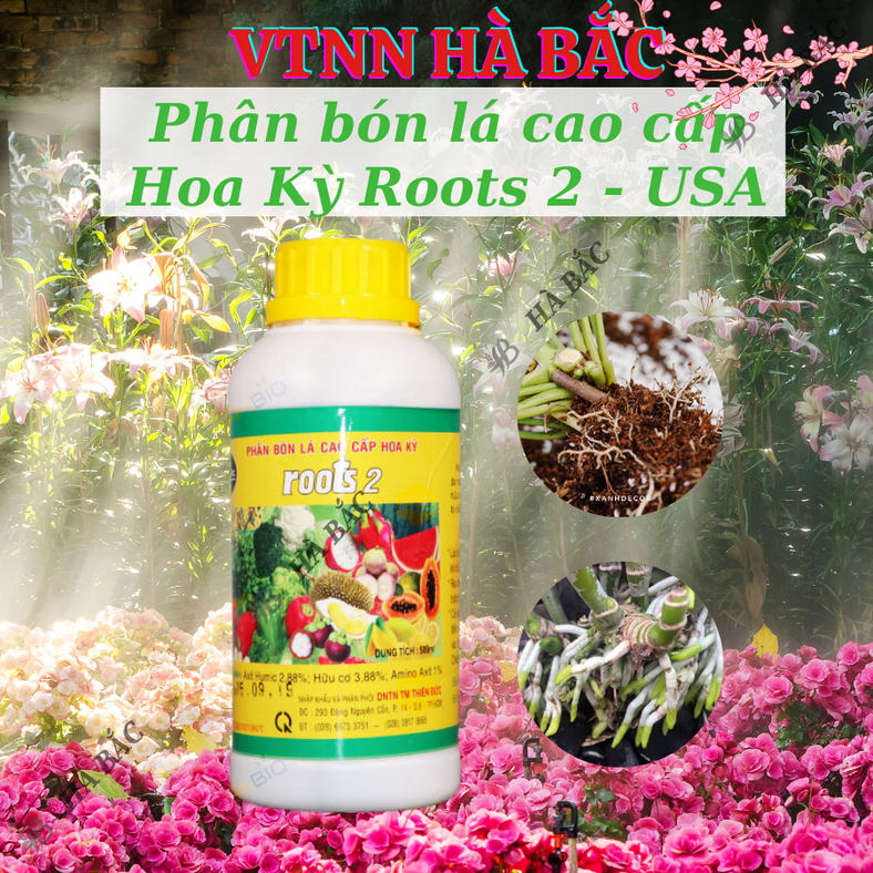 Phân bón lá cao cấp Hoa Kỳ Roots 2 - USA (500ml/1Lít), kích ra rễ cực mạnh, dùng trong giâm cành, giúp rễ mập mạp