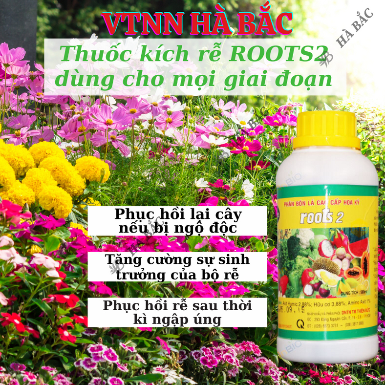 Phân bón lá cao cấp Hoa Kỳ Roots 2 - USA (500ml/1Lít), kích ra rễ cực mạnh, dùng trong giâm cành, giúp rễ mập mạp