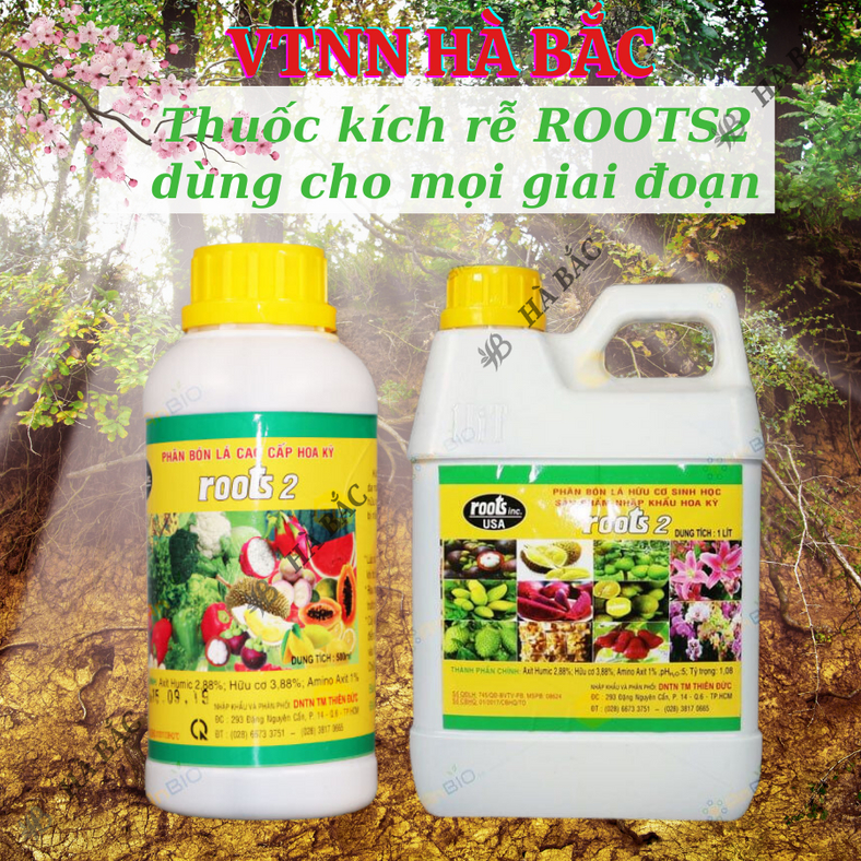Phân bón lá cao cấp Hoa Kỳ Roots 2 - USA (500ml/1Lít), kích ra rễ cực mạnh, dùng trong giâm cành, giúp rễ mập mạp