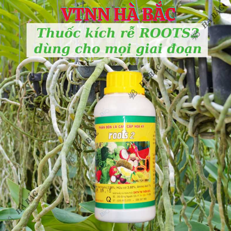 Phân bón lá cao cấp Hoa Kỳ Roots 2 - USA (500ml/1Lít), kích ra rễ cực mạnh, dùng trong giâm cành, giúp rễ mập mạp