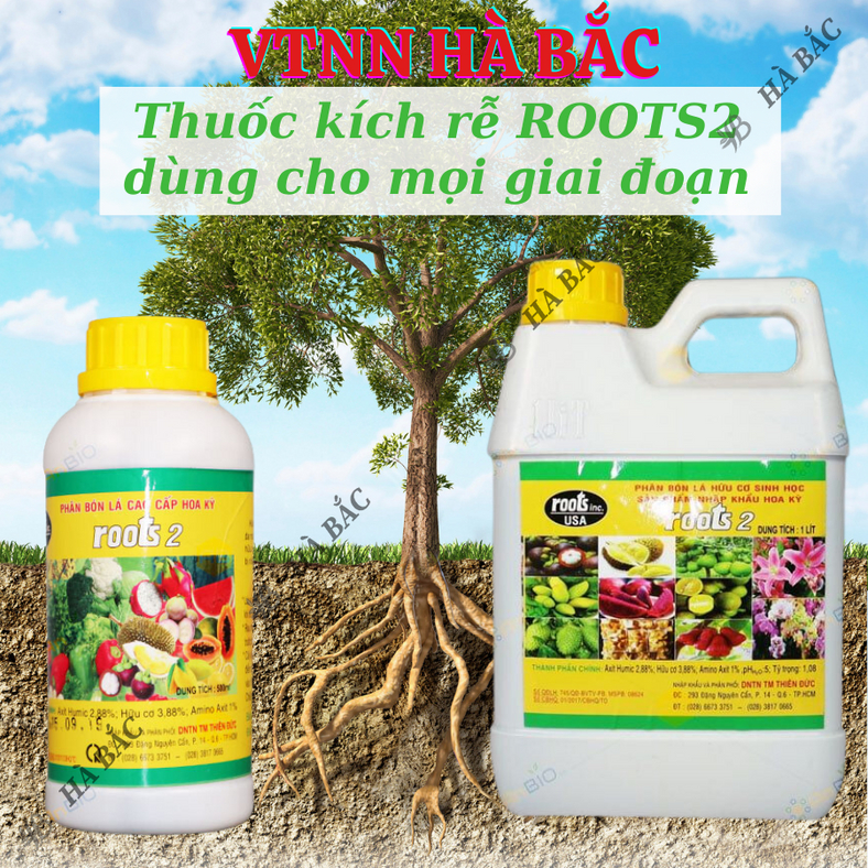 Phân bón lá cao cấp Hoa Kỳ Roots 2 - USA (500ml/1Lít), kích ra rễ cực mạnh, dùng trong giâm cành, giúp rễ mập mạp