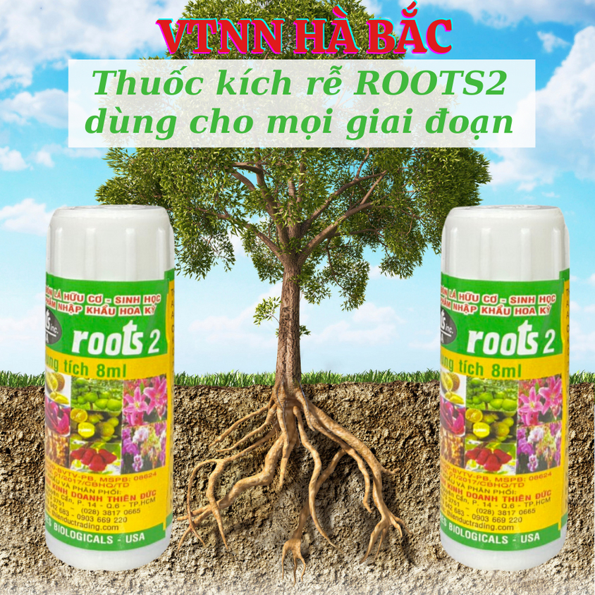 [COMBO 2 HŨ] Phân bón lá cao cấp Hoa Kỳ Roots 2 USA (8ml), kích ra rễ cực mạnh, giâm cành chiết cành