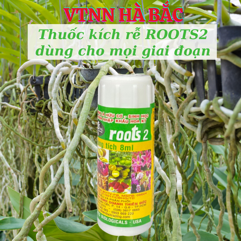 [COMBO 2 HŨ] Phân bón lá cao cấp Hoa Kỳ Roots 2 USA (8ml), kích ra rễ cực mạnh, giâm cành chiết cành
