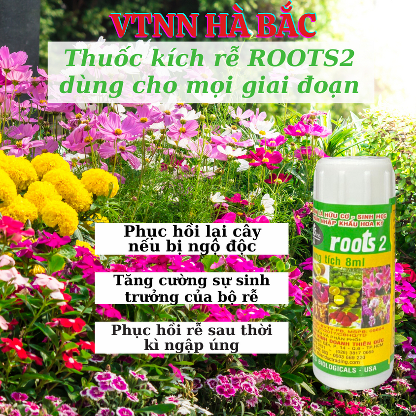 [COMBO 2 HŨ] Phân bón lá cao cấp Hoa Kỳ Roots 2 USA (8ml), kích ra rễ cực mạnh, giâm cành chiết cành