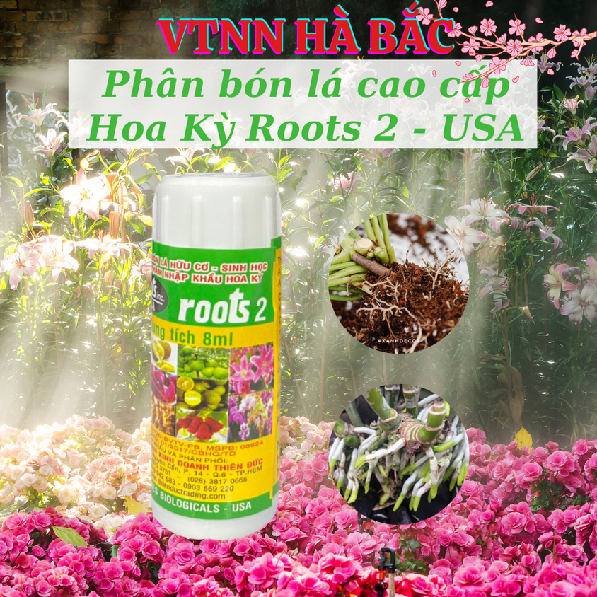 [COMBO 2 HŨ] Phân bón lá cao cấp Hoa Kỳ Roots 2 USA (8ml), kích ra rễ cực mạnh, giâm cành chiết cành
