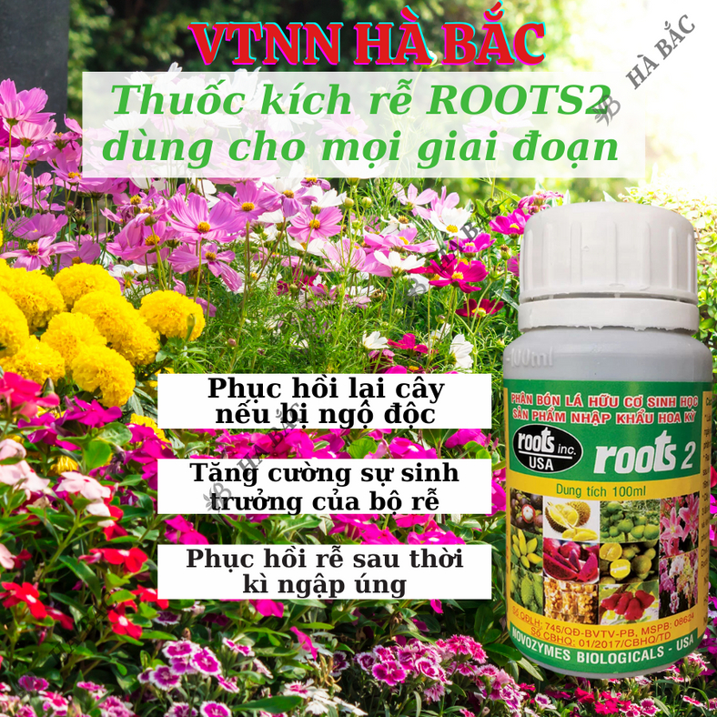 Phân bón lá cao cấp Hoa Kỳ Roots 2 - USA (100ml), kích ra rễ cực mạnh, dùng trong giâm cành chiết cành, giúp rễ mập mạp