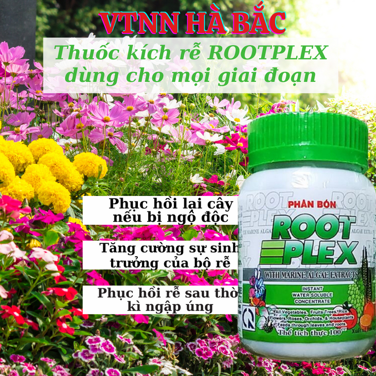Phân Bón Lá ROOT PLEX - Phân Bón RootPlex Hữu Cơ Rong Biển (100ml), phân hữu cơ rong biển, ra rễ mọc mầm mạnh