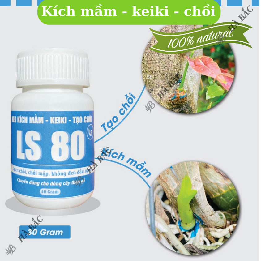 Keo liền sẹo liền da LS70, LS80, keo tạo xù, keo kích mầm dùng cho cây - Diệt khuẩn tốt kéo sẹo nhanh (30gr/100gr)