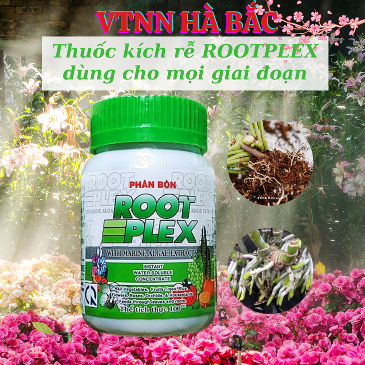 Phân Bón Lá ROOT PLEX - Phân Bón RootPlex Hữu Cơ Rong Biển (100ml), phân hữu cơ rong biển, ra rễ mọc mầm mạnh