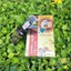 Tinh dầu nano thảo dược Xịt miệng Sagucha (5ml/15ml)