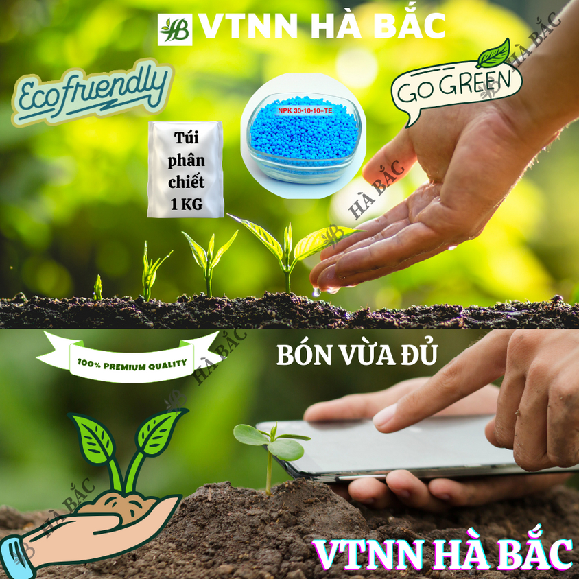 Phân NPK XANH 30-10-10 + 80Zn Túi 1kg (bán lẻ)  - Giúp xanh cây, tốt lá, đâm tược mạnh, phát triển thân cành